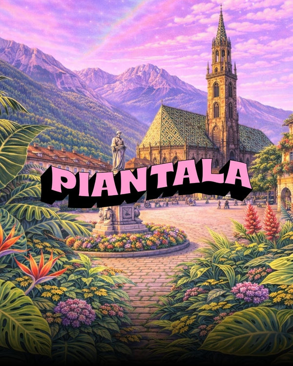 Piantala Bolzano