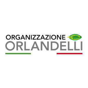 Organizzazione Orlandelli