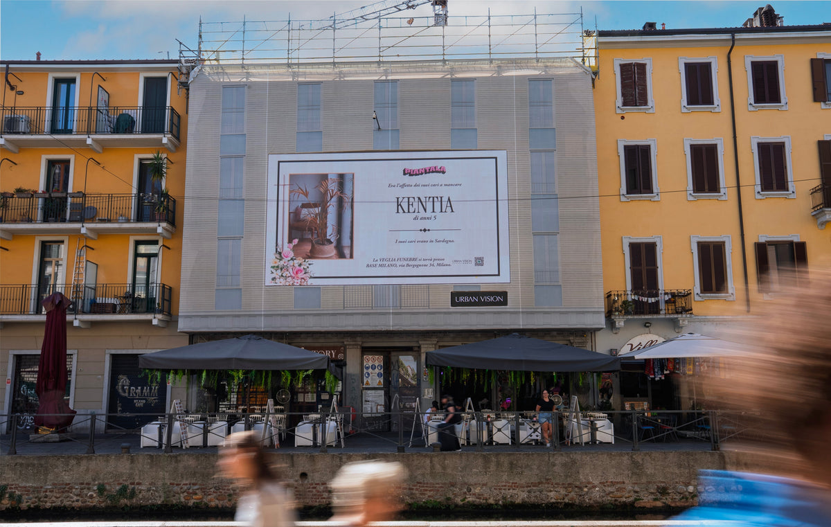 Piantala di chiudere la tapparella: a Milano arrivano i necrologi delle piante morte in vacanza