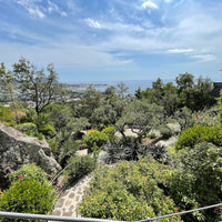 13 orti e giardini botanici da visitare in Italia nell’estate 2026