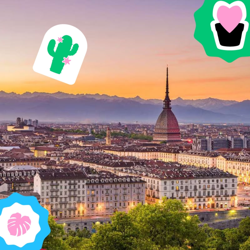 Piantala | Torino