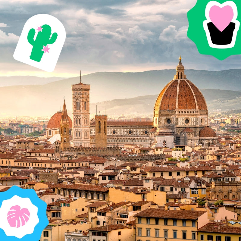 Piantala | Firenze