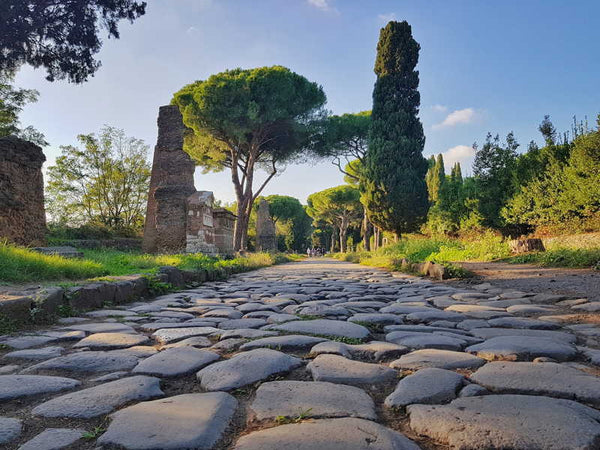 Piantala Roma