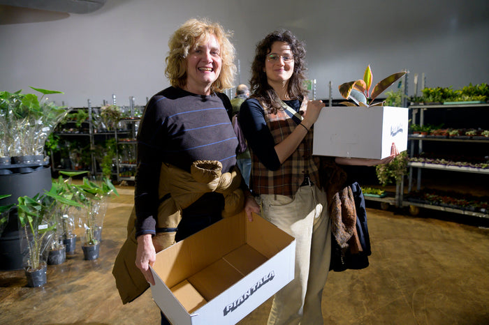 Piantala Brescia