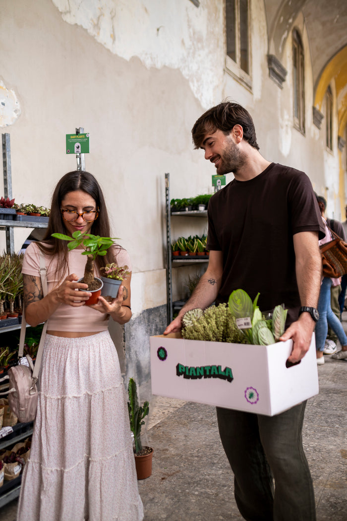 Piantala Napoli