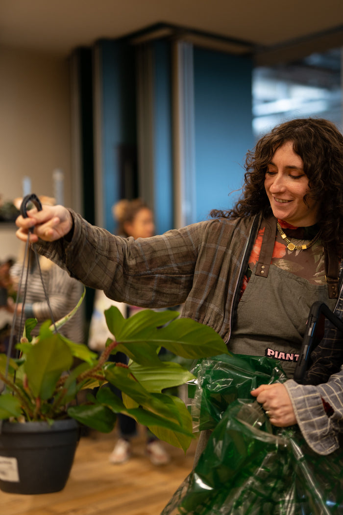 Piantala Torino — plant expert